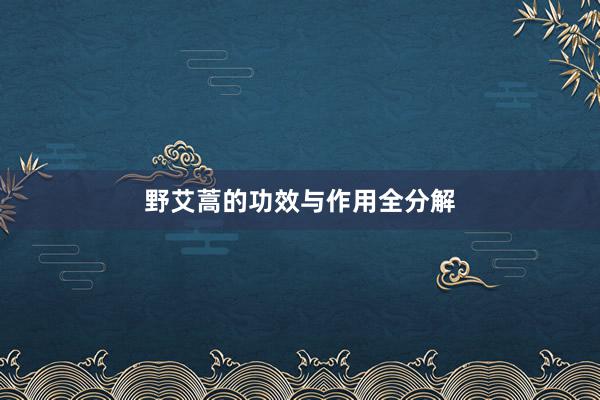 野艾蒿的功效与作用全分解